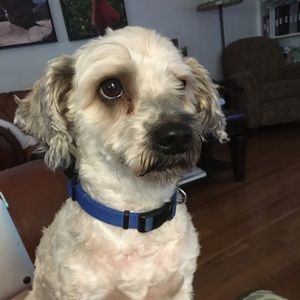 Meet your Posher, Scott